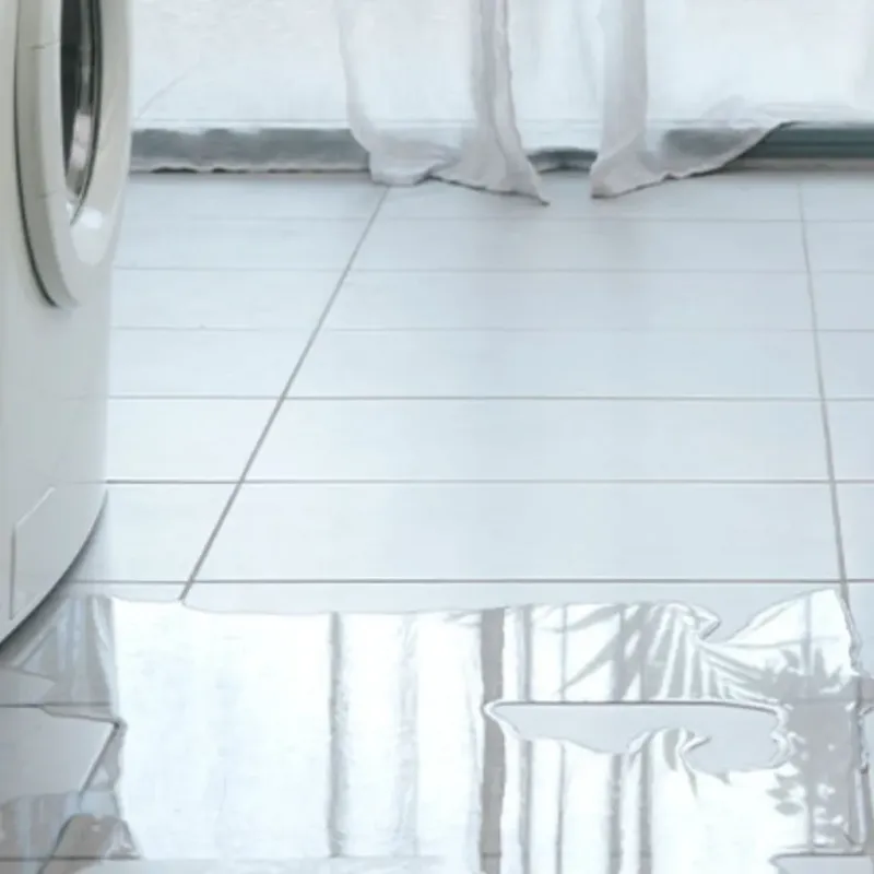 Appliance Leak Cleanup in Romeo, MI