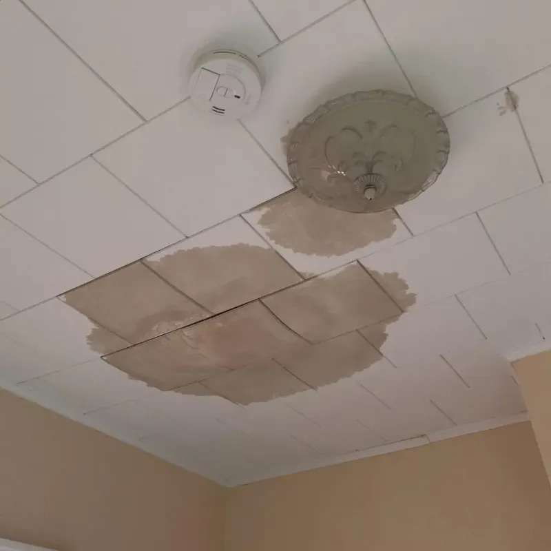 Ceiling Water Damage Repair in Romeo, MI