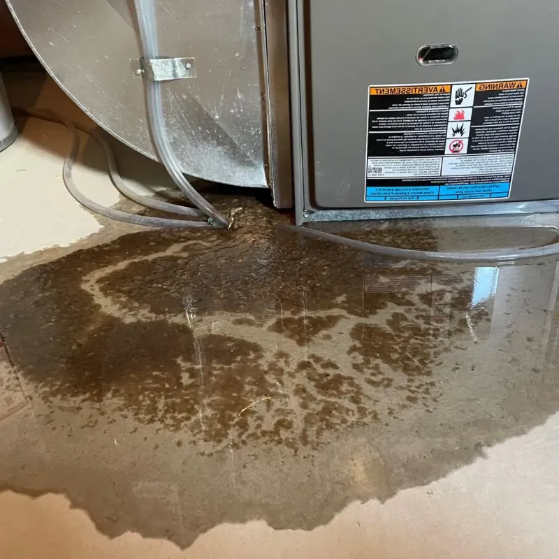 Pipe Burst and Leak Restoration in Romeo, MI