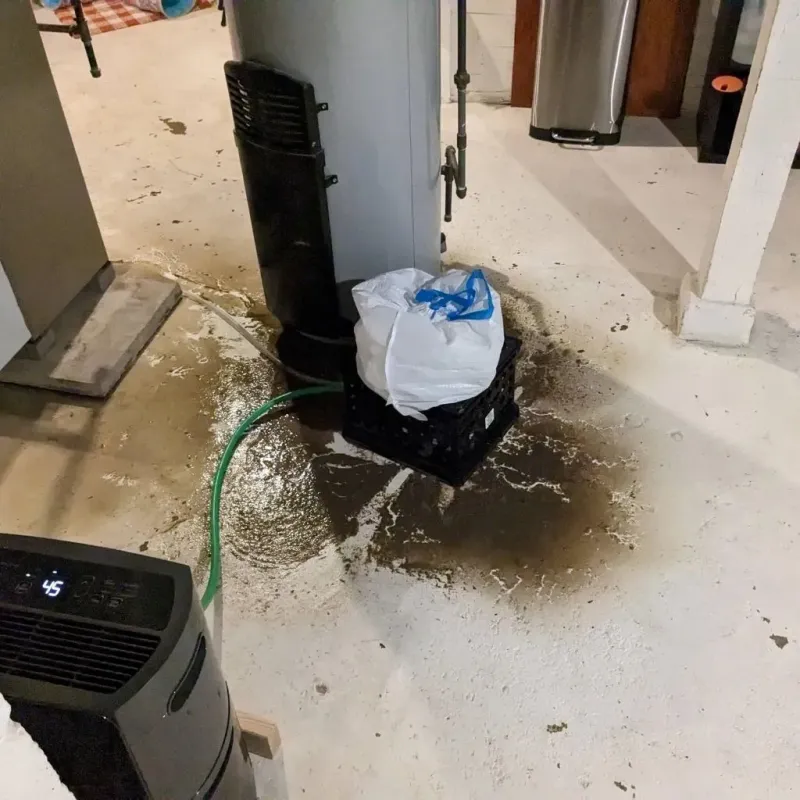 Sewage Backup Cleanup Service in Romeo, MI